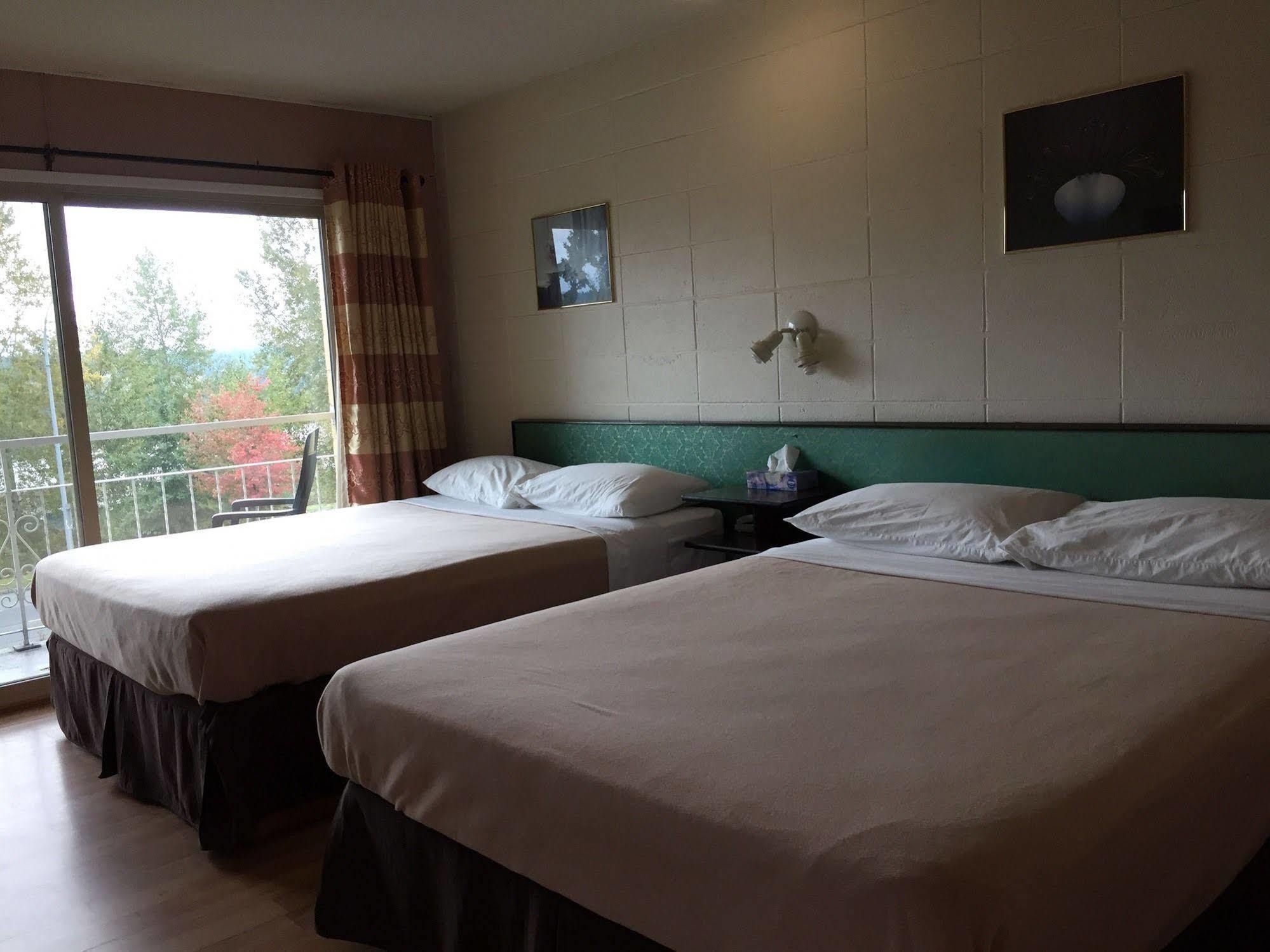 ليديسميث Holiday House Motel المظهر الخارجي الصورة